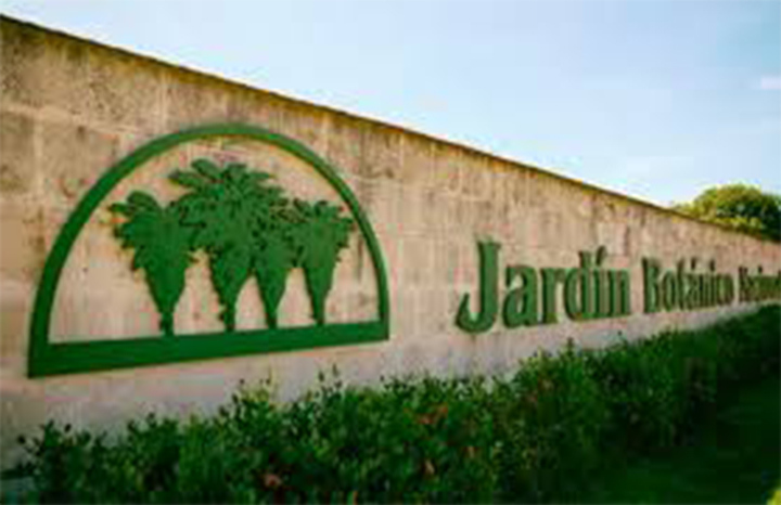 0505 jardin