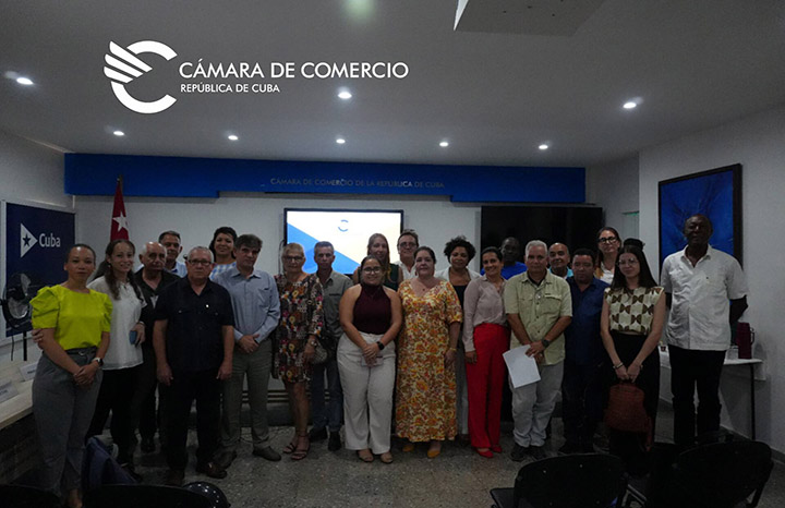 0528 camara comercio panel energia