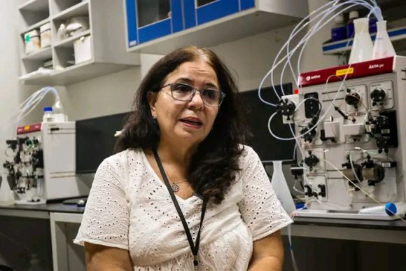 1765164329211 e1765164509991