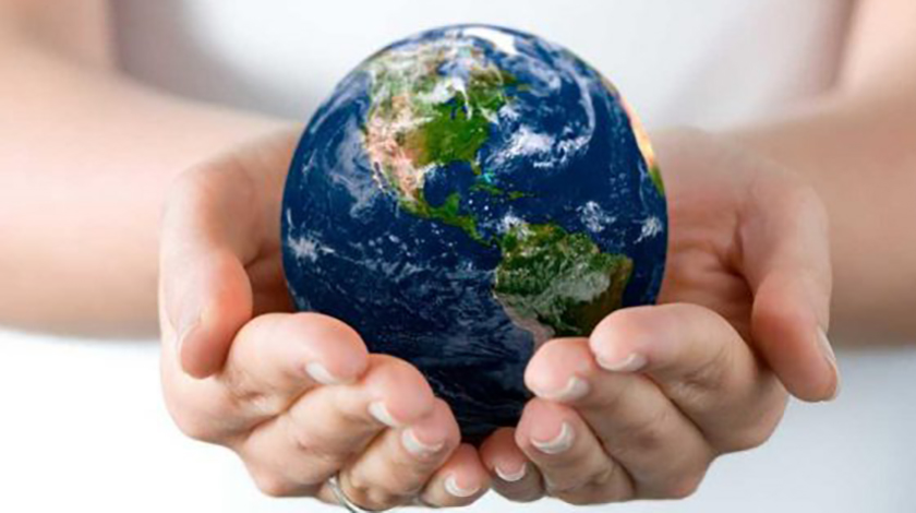 Medio Ambiente 