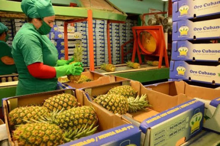 Agromercado en Cuba