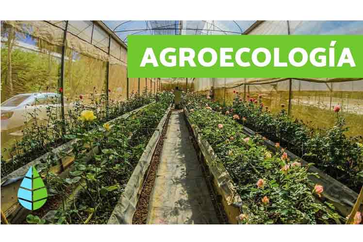 VII Encuentro Internacional de Agroecología, Agricultura Sostenible y Cooperativismo