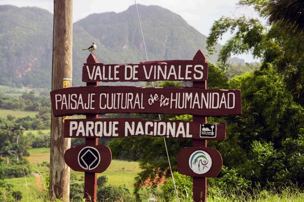 Sitios de interés geológicos 