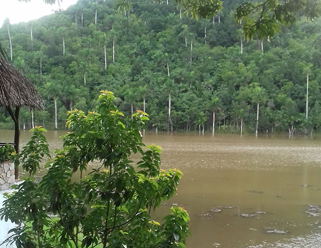 Sierra del Rosario Sierra del Rosario