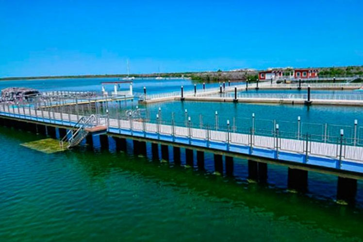 Funciona nuevo delfinario en destino turístico de Cuba Funciona nuevo delfinario en destino turístico de Cuba