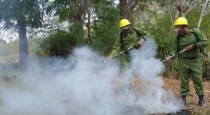 Cuba desarrolla compaña de protección contra incendios forestales 