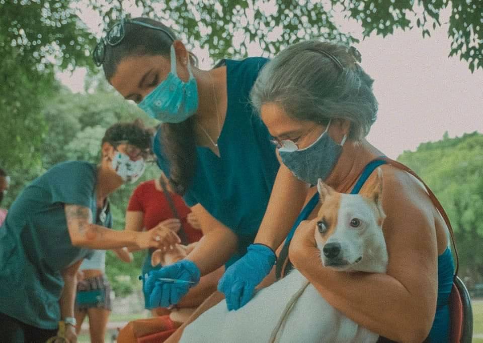 Autoridades ratifican voluntad de garantizar bienestar animal en Cuba