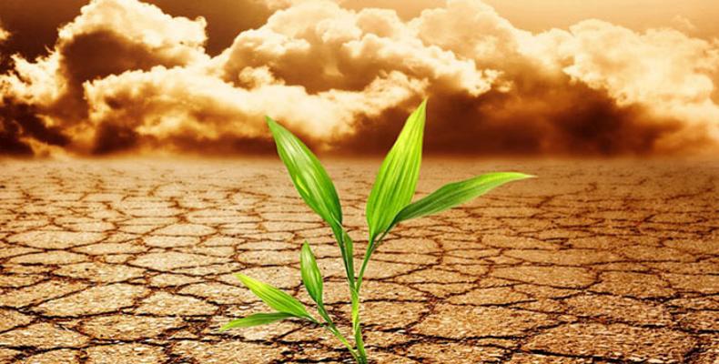 Banner alegórico a la agricultura y el cambio climático