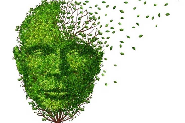 Imagen alegórica al Alzheimer Imagen alegórica al Alzheimer