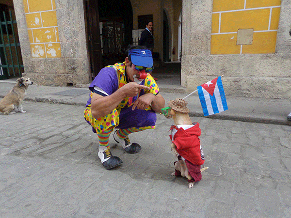 Payasos y  mascotas amaestradas