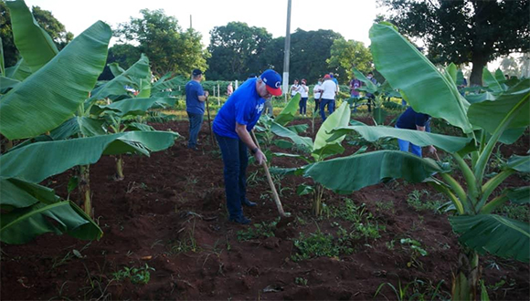 Temprano en la mañana de este domingo, el trabajo voluntario es parte de las actividades por el próximo 26 de julio. Foto: Estudios Revolución.