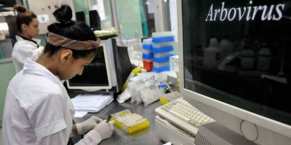 Investigadoras del laboratorio de arbovirus del IPK ahondan en el estudio de las cepas cubanas aisladas durante las epidemias de dengue en busca de nuevas respuestas. Foto Leyva Benítez/ Bohemia.