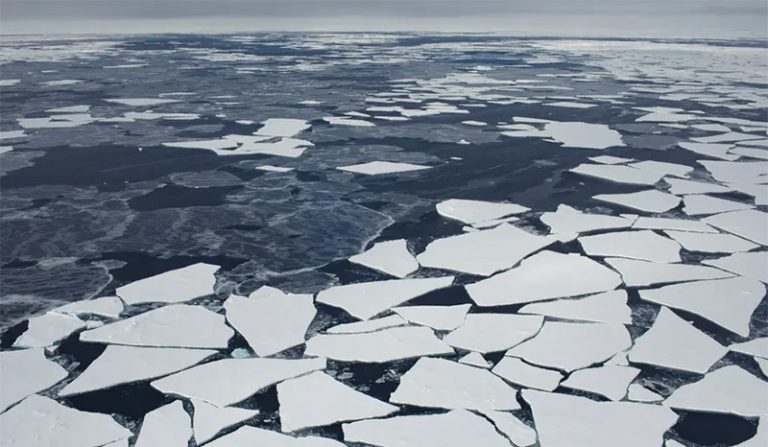 Imágenes tomadas con un dron a mediados de 2019 muestran la ruptura y derretimiento del hielo ártico. Como la Antártida, el Ártico tiene un papel importante en el control de las pautas climáticas y oceánicas del planeta y en el aumento del nivel del mar. Foto: Greenpeace.
