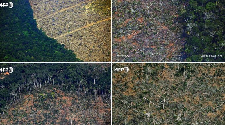 Zonas deforestadas del Amazonía