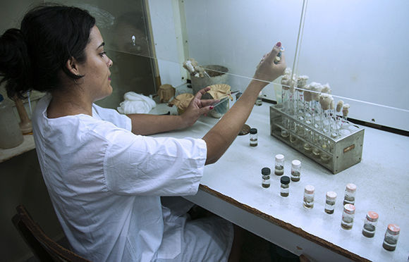 María Victoria trabaja con las muestras de agua. 