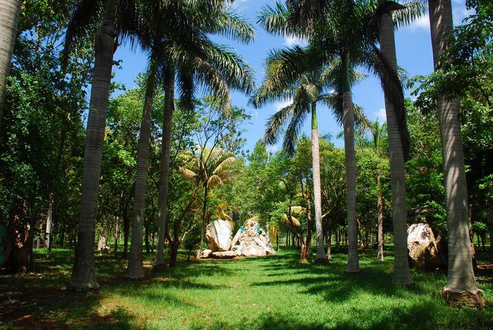 Bosque Martiano del Ariguanabo, un monumento en defensa de naturaleza