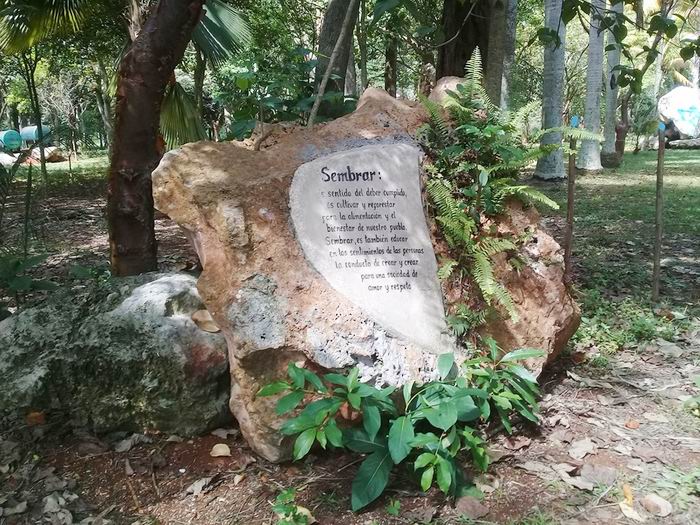Bosque Martiano del Ariguanabo