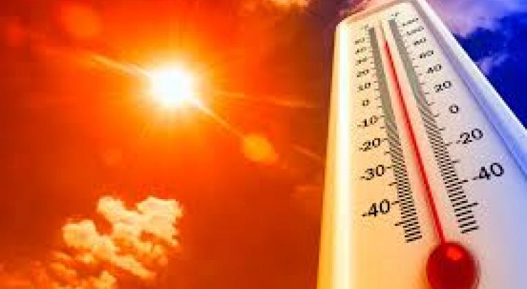 ONU: 2020 uno de los años más cálidos desde que existen registros