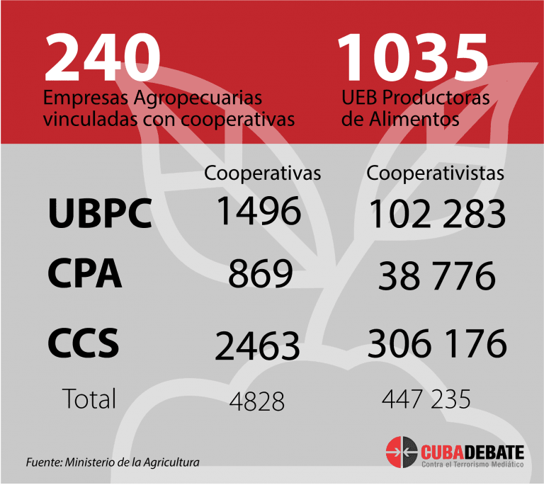 Infografía: Edilberto Carmona / Cubadebate.