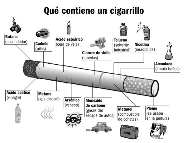 Cigarros por dentro
