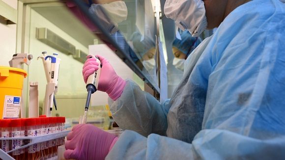 Científicos rusos logran obtener por primera vez anticuerpos capaces de neutralizar al coronavirus
