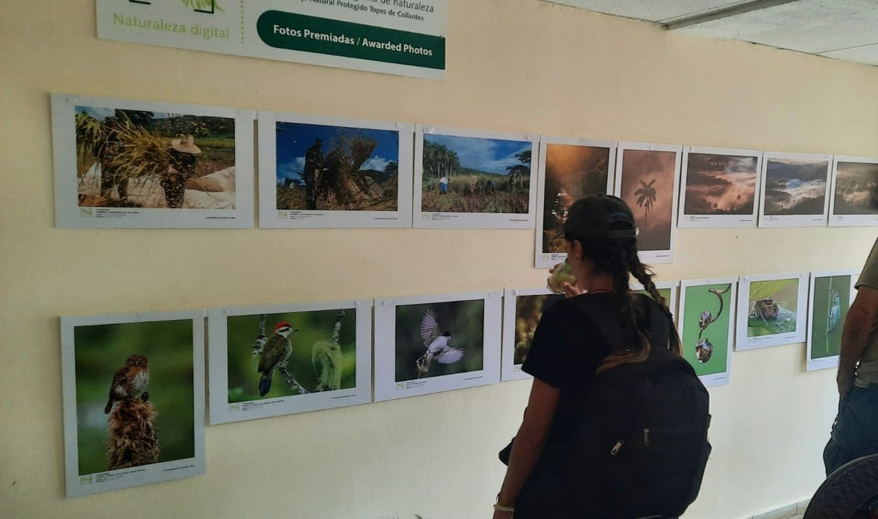 Exposición fotográfica del Concurso de Fotografía ¨Naturaleza Digital 2025