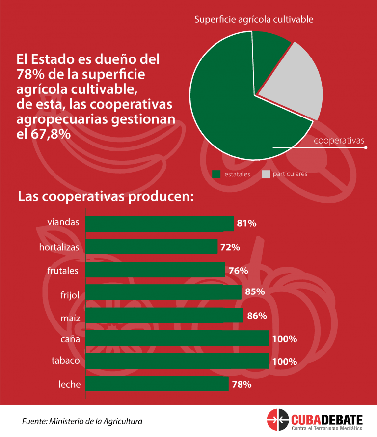 Infografía: Edilberto Carmona / Cubadebate.