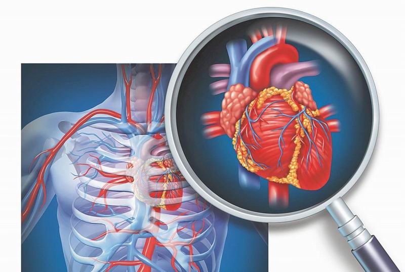 COVID-19 y cuidados en pacientes con enfermedad cardiovascular