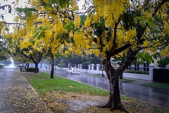 Tarde lluviosa en 5ta. Avenida, La Habana.