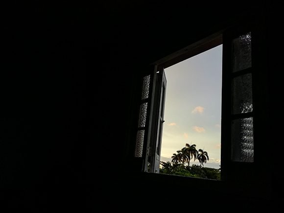 A lo lejos, el palmar.