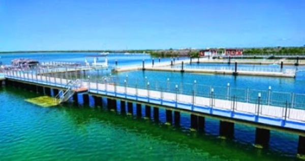 Nuevo Acuario Delfinario en cayería norte avileña Nuevo Acuario Delfinario en cayería norte avileña