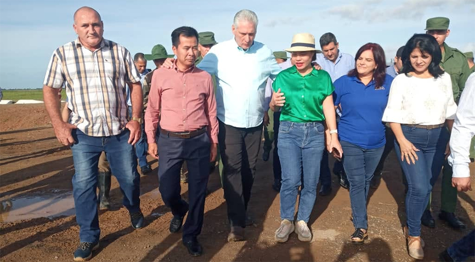El presidente cubano intercambiando con especialistas cubanos y vietnamitas en Los Palacios, Pinar del Río. Foto: Periódico Guerrillero. El presidente cubano intercambiando con especialistas cubanos y vietnamitas en Los Palacios, Pinar del Río. Foto: Periódico Guerrillero.