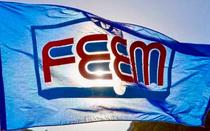 Sesiona en plenario el Consejo Nacional de la FEEM