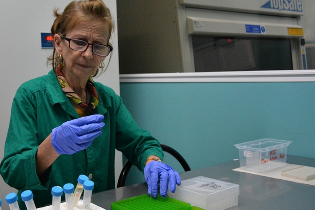 Especialista del laboratorio de microbiología molecular, en el municipio de Santa Clara, con todas las condiciones técnicas necesarias para detectar el nuevo coronavirus si apareciera en la región central de Cuba. Foto: ACN.