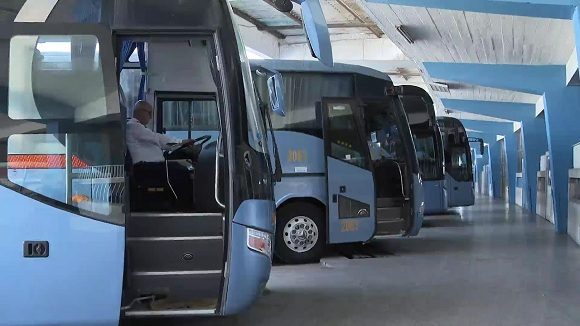 Ómnibus Nacionales restablece 24 de sus rutas para noviembre