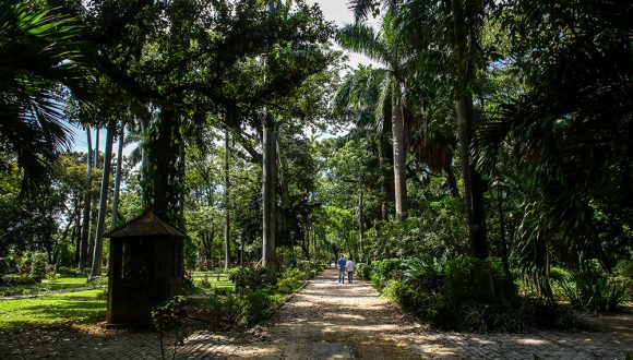 Jardín Botánico de La Habana