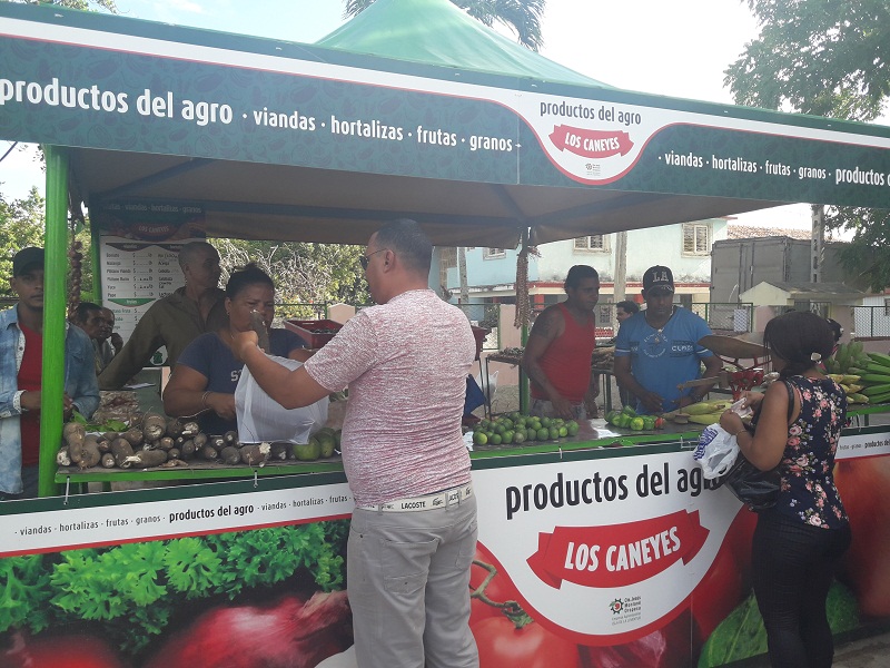 FAO y el PMA reconocen avances de Cuba hacia la seguridad alimentaria 
