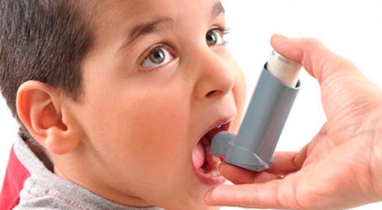 Las alergias deben ser tratadas para una mejor calidad de vida Las alergias deben ser tratadas para una mejor calidad de vida