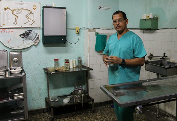 Medicina veterinaria cubana celebra sus 60 años