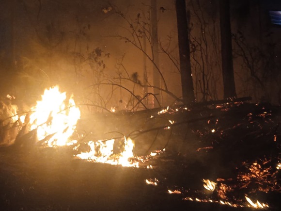 Incendio forestal en zona montañosa de Pinar del Río