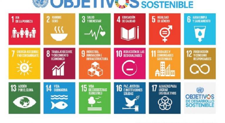 onu agenda 1