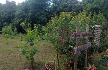 Agua Santa impulsa agroecología tras intercambio internacional
