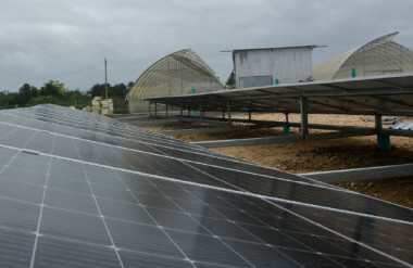 Consolida Villa Clara resultados relevantes en materia de ciencia