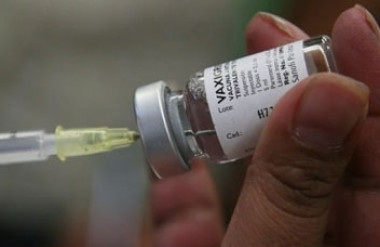 Introducción de productos innovadores según Citma