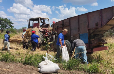 CITMA impulsa papa con recursos locales