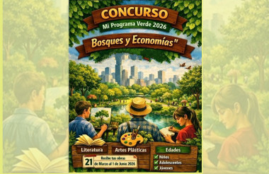 Convocan a concurso sobre bosques y economía