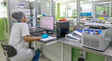 IPK frente al Chikungunya